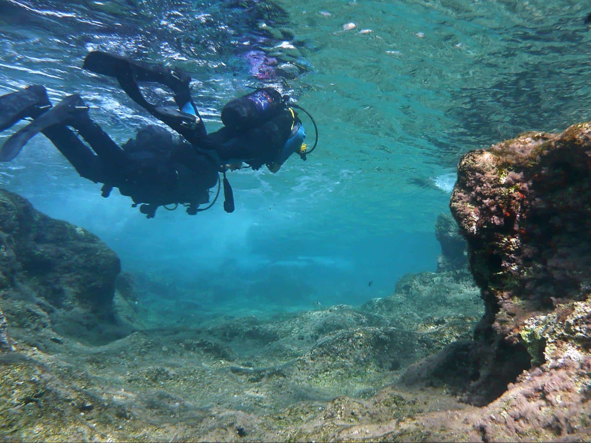 Prix du baptême de plongée pour une expérience unique
