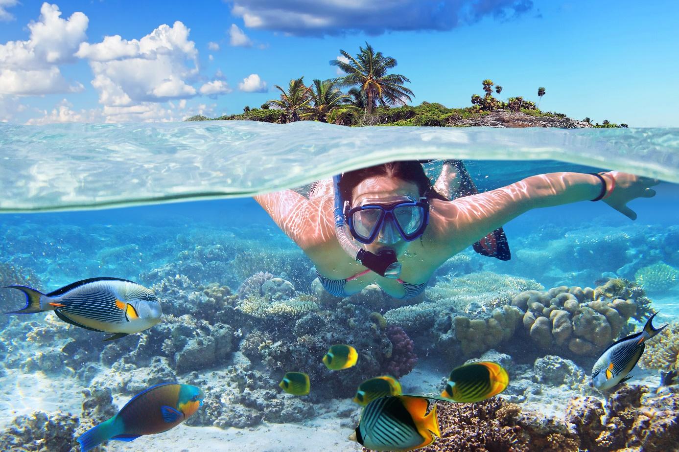 Quel est le prix d’une séance de snorkeling ?