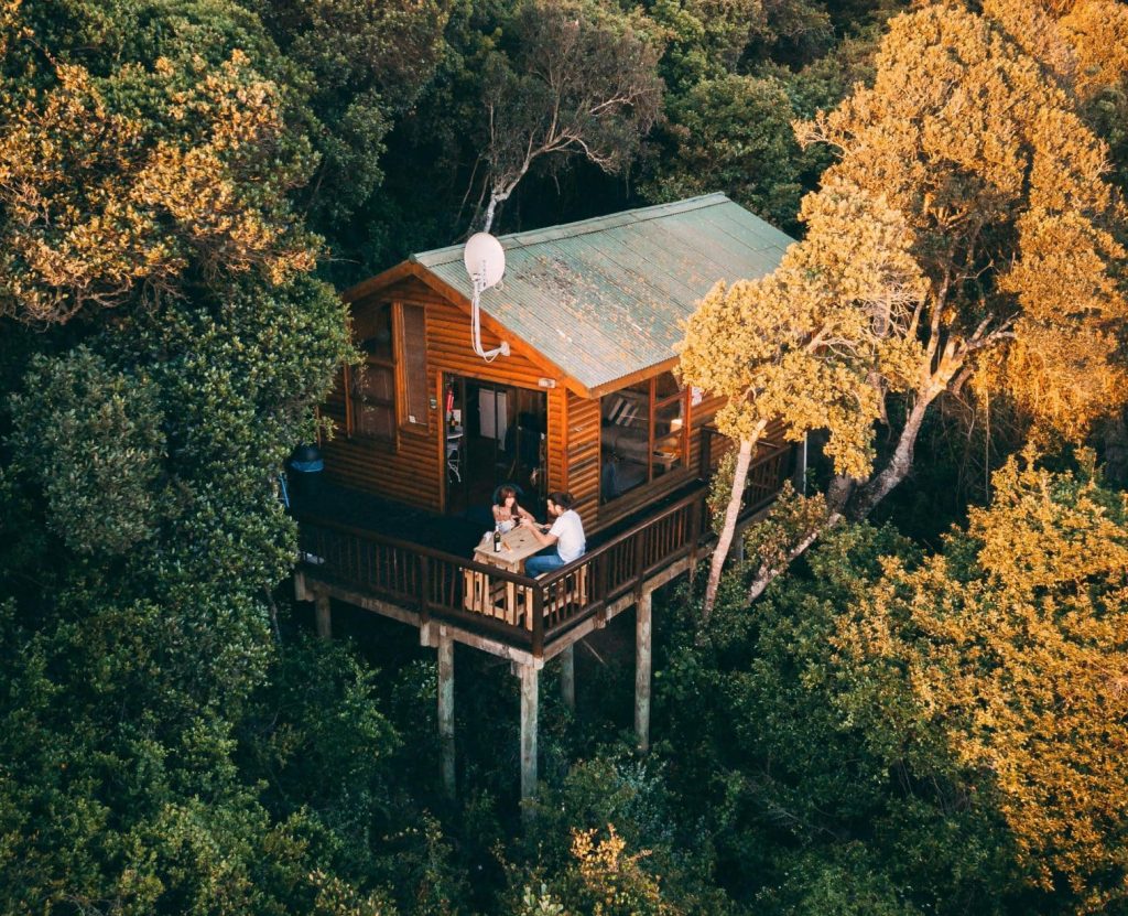 Cabane dans les arbres