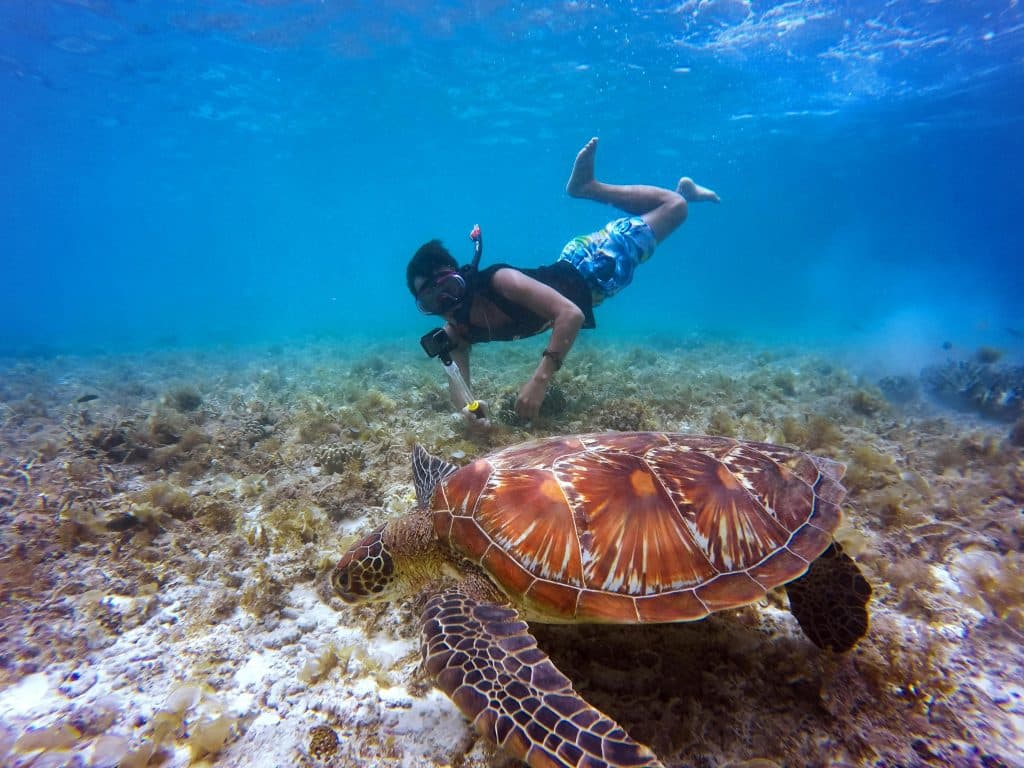 Snorkeling ou randonnée marine