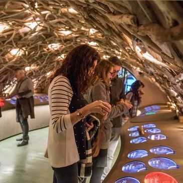 Une cave cachée près du Louvre : entre vins & fromages d’exception