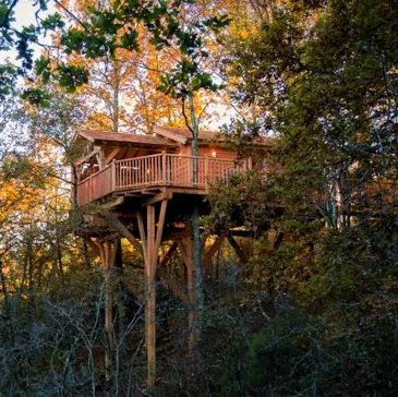 Une Cabane dans les arbres avec jacuzzi