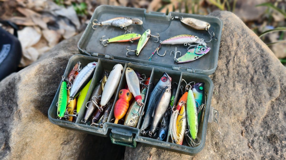 Matériel pour la pêche au gros : guide du débutant
