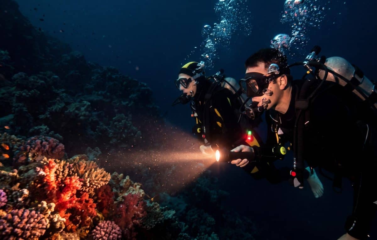 Plongée de nuit : une expérience sous-marine unique