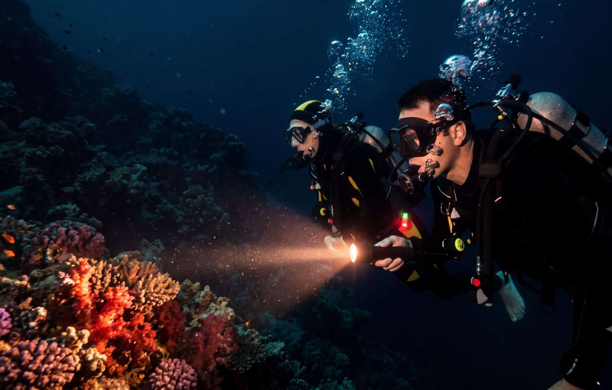 Plongée de nuit : une expérience sous-marine unique