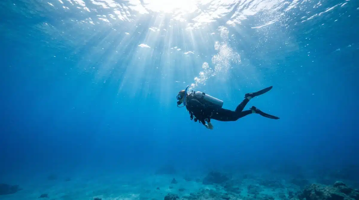 PADI Open Water : ce que ce brevet certifie vraiment